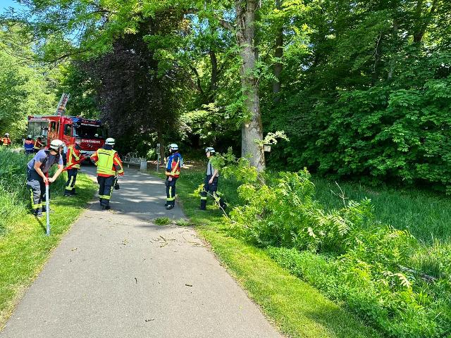 IMG-20230525-WA0004 groß.jpg